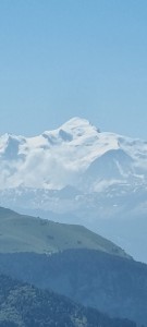 IMG-20250624-WA0114
