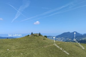 IMG-20250625-WA0011