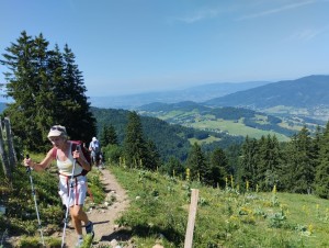 IMG-20250625-WA0013
