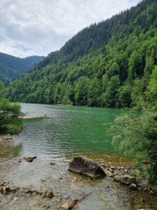 IMG-20250626-WA0025 (002)